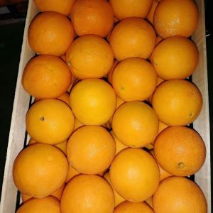 Arance grandi cassa 11 kg