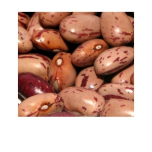 fagioli borlotti secchi italiani  gr. 100