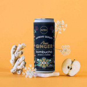 Kombucha atomic ginger Intro Foods ml. 330